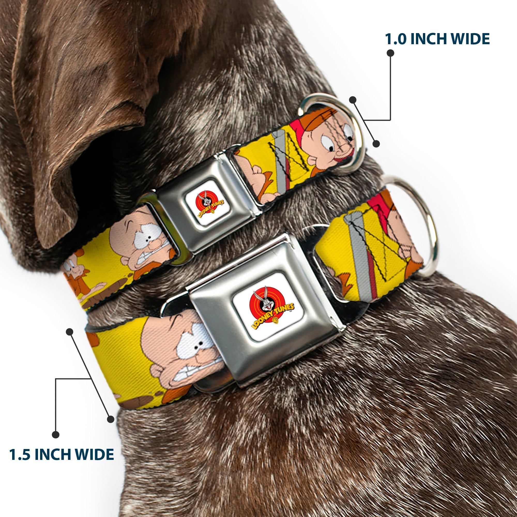 Looney Tunes Logo Full Color White Seatbelt Buckle Collar - Elmer Fudd Expressions Yellow