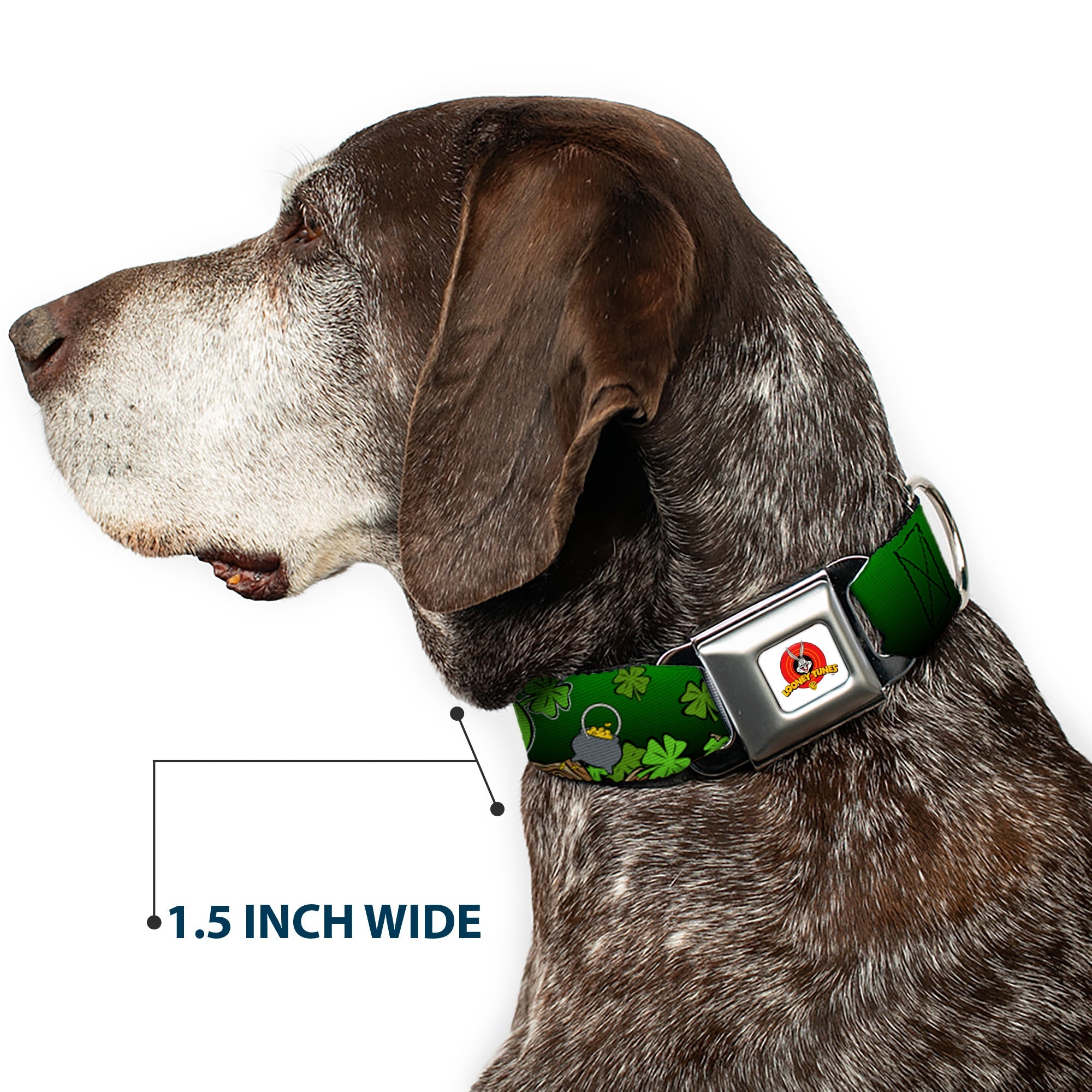 Looney Tunes Logo Full Color White Seatbelt Buckle Collar - Marvin the Martian & K-9 Poses/Clovers Greens