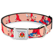 Looney Tunes Logo Full Color White Seatbelt Buckle Collar - Porky Pig Expressions Red