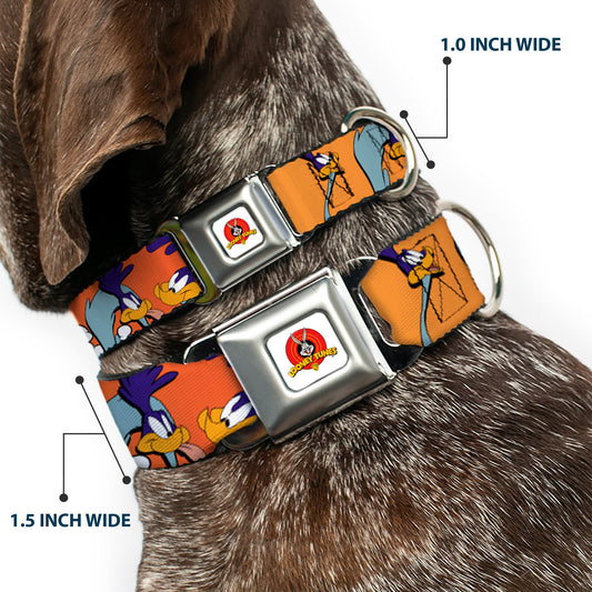 Looney Tunes Logo White Seatbelt Buckle Collar - ROAD RUNNER w/Road Runner Poses Orange
