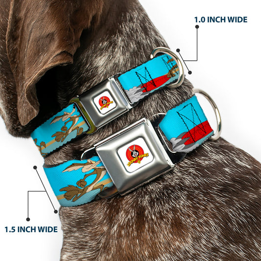 Looney Tunes Logo White Seatbelt Buckle Collar - Road Runner/Wile E. Coyote Scene2 Desert