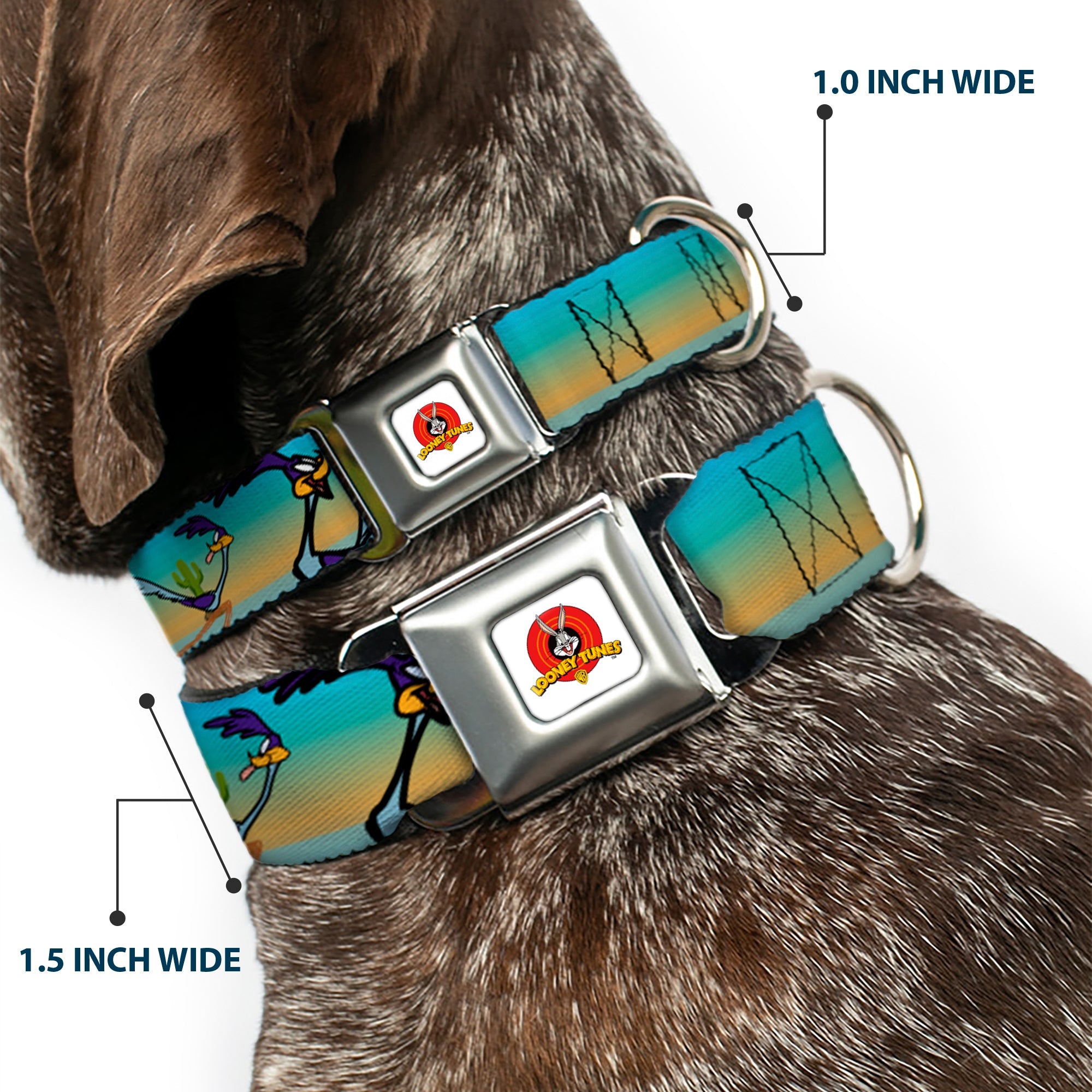 Looney Tunes Logo White Seatbelt Buckle Collar - Road Runner/Wile E. Coyote Scene1 Desert