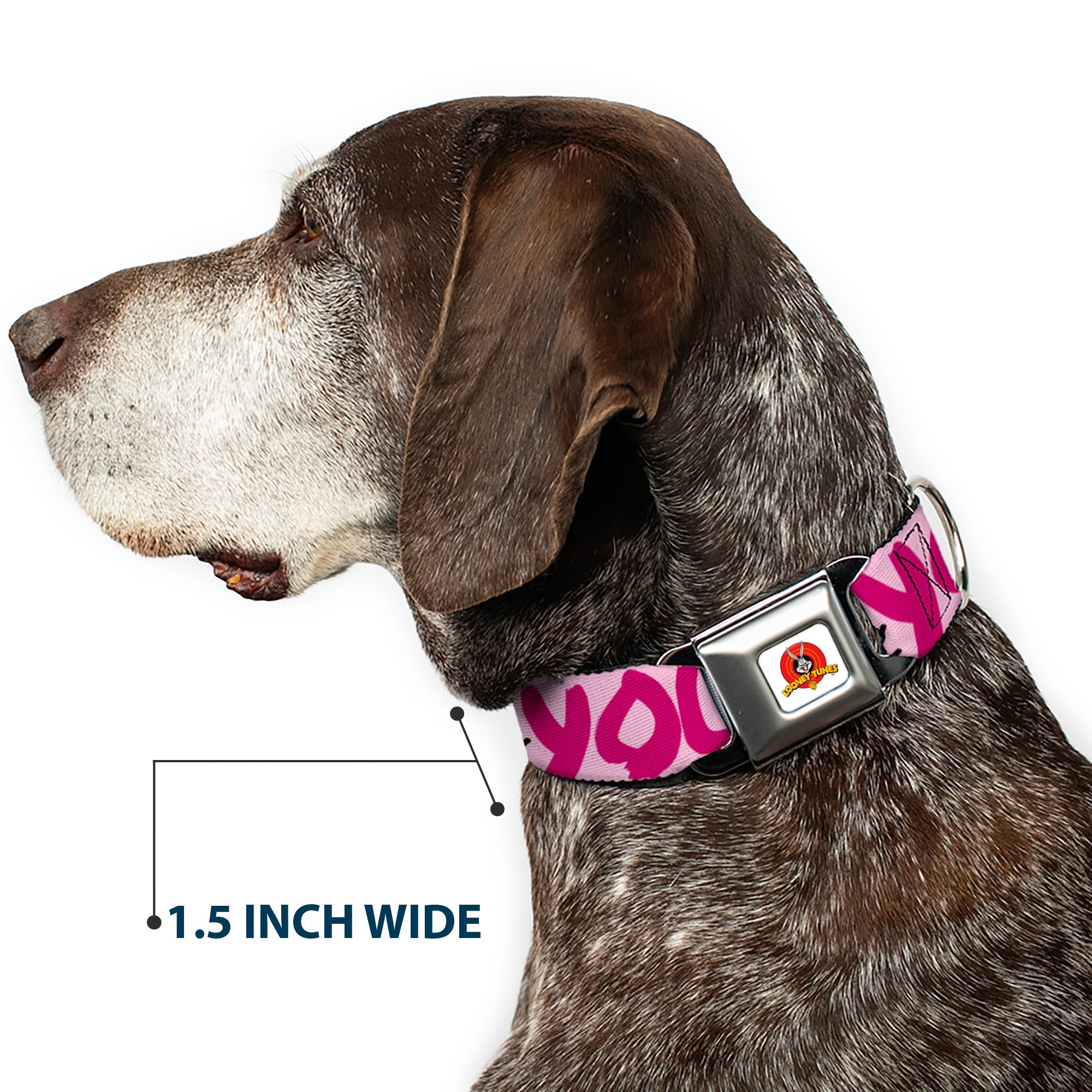 Looney Tunes Logo Full Color White Seatbelt Buckle Collar - Tweety Bird I LOVE YOU Pink/Black