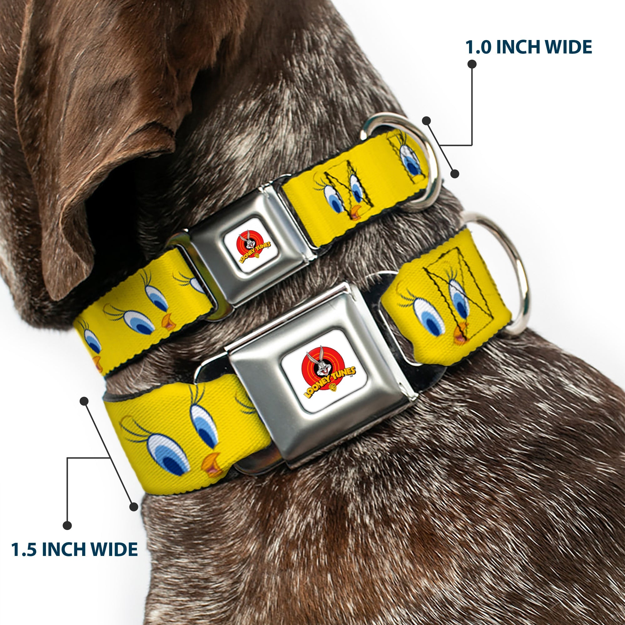 Looney Tunes Logo Full Color White Seatbelt Buckle Collar - Tweety Bird Expressions2