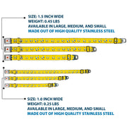 Looney Tunes Logo Full Color White Seatbelt Buckle Collar - Tweety Bird Expressions2