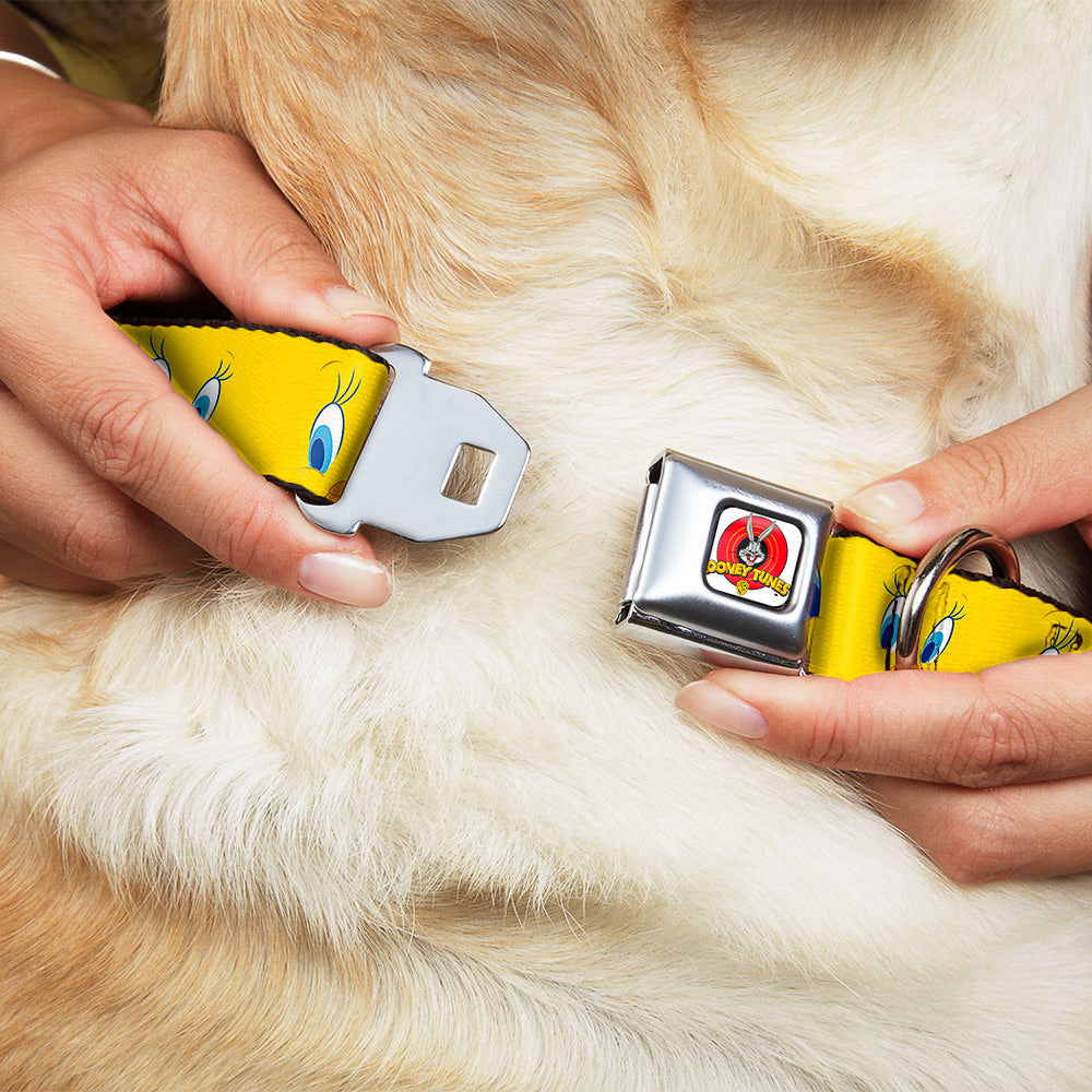 Looney Tunes Logo Full Color White Seatbelt Buckle Collar - Tweety Bird Expressions2