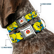 Looney Tunes Logo Full Color White Seatbelt Buckle Collar - Tweety Bird CLOSE-UP Expressions Baby Blue