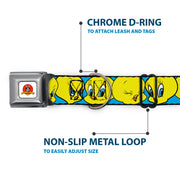 Looney Tunes Logo Full Color White Seatbelt Buckle Collar - Tweety Bird CLOSE-UP Expressions Baby Blue