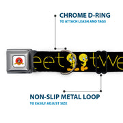 Looney Tunes Logo Full Color White Seatbelt Buckle Collar - Tweety Bird Poses CUTE AND SWEET Black/Yellow