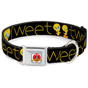 Looney Tunes Logo Full Color White Seatbelt Buckle Collar - Tweety Bird Poses CUTE AND SWEET Black/Yellow