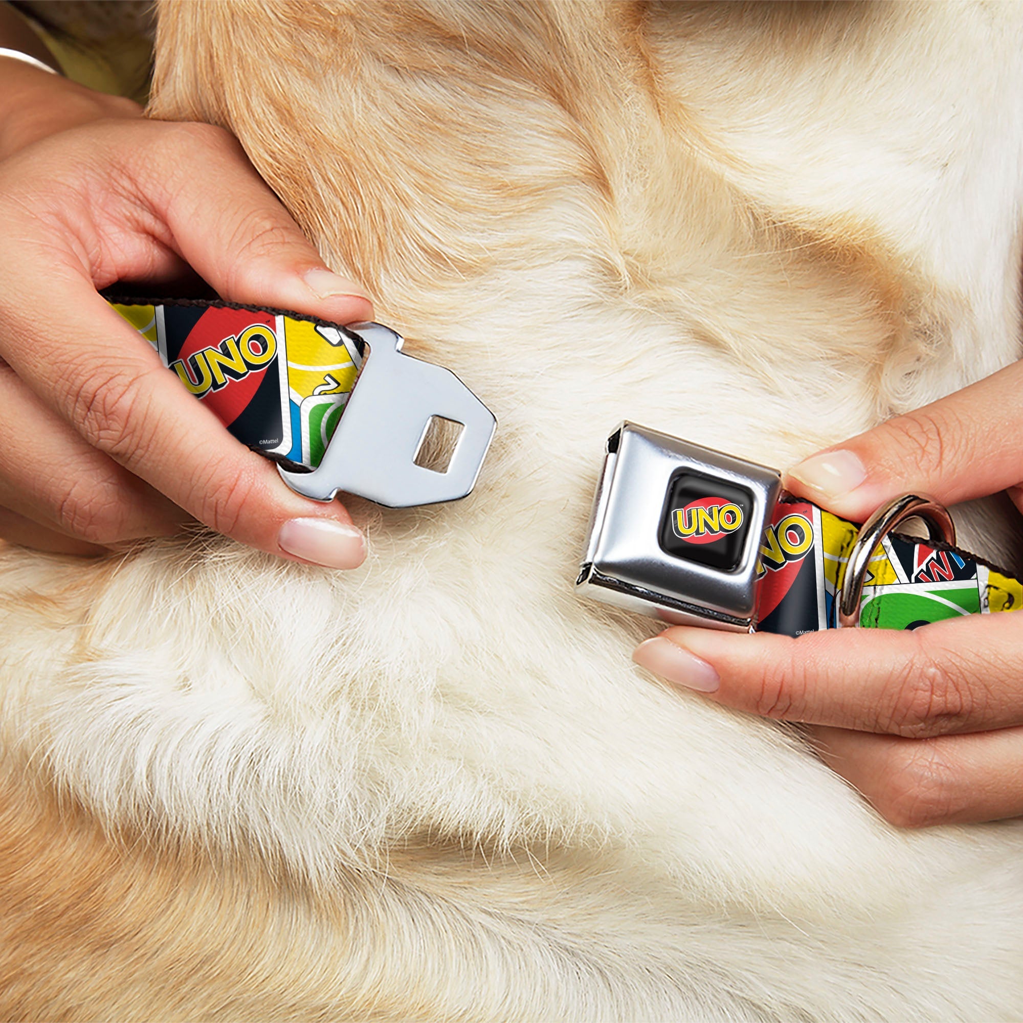 UNO Game Logo Full Color Black/Red/Yellow Seatbelt Buckle Collar - UNO Cards Stacked Collage Multi Color