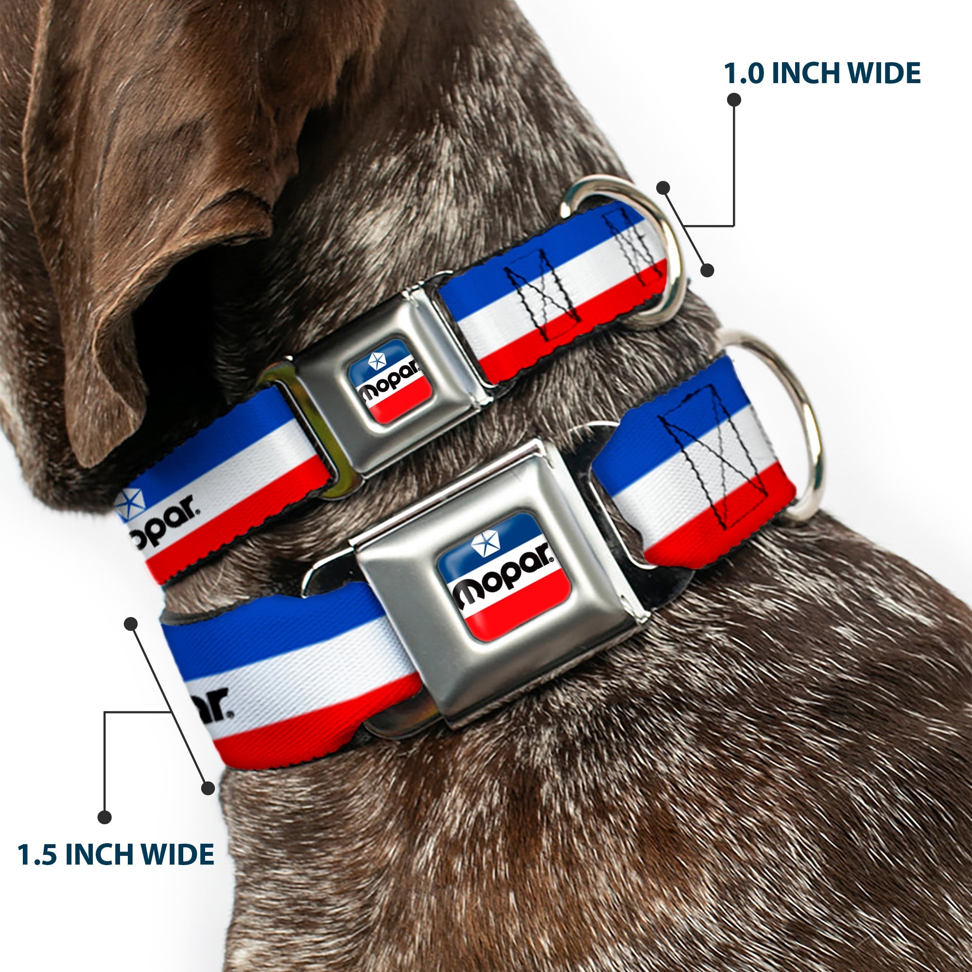 MOPAR Chrysler Logo Full Color White/Blue/Red/Black Seatbelt Buckle Collar - MOPAR Logo/Stripe Blue/White/Red