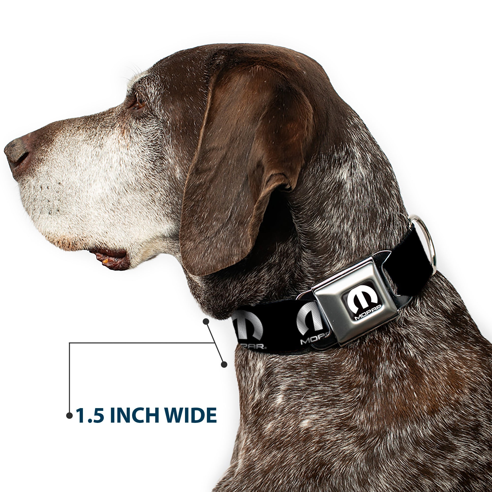 MOPAR Logo Full Color Black/White Seatbelt Buckle Collar - MOPAR Logo Repeat Black/Silver Gradient