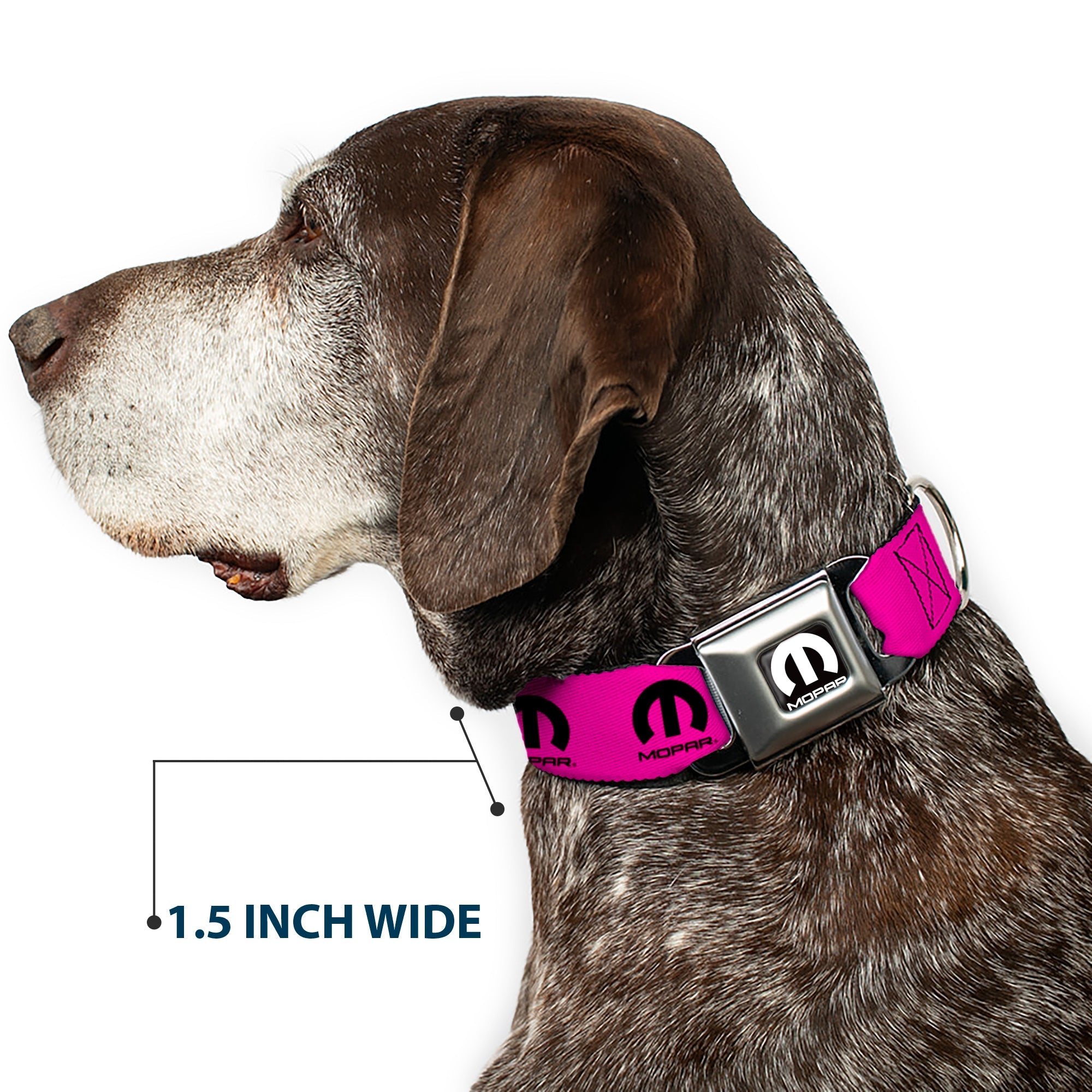 MOPAR Logo Full Color Black/White Seatbelt Buckle Collar - MOPAR Logo Repeat Hot Pink/Black