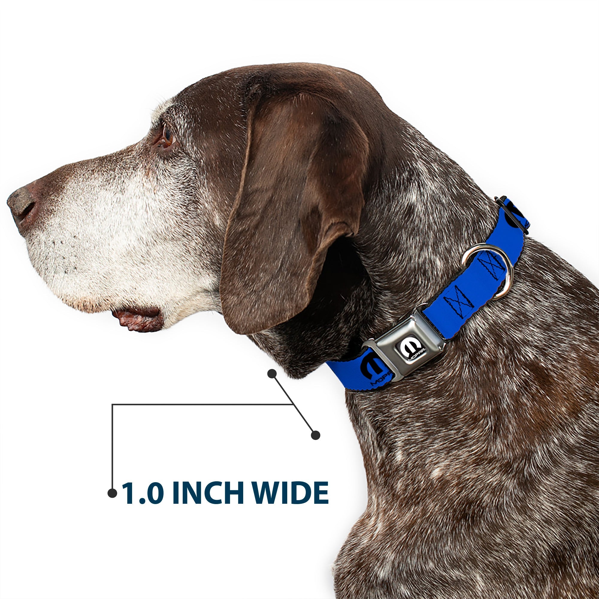 MOPAR Logo Full Color Black/White Seatbelt Buckle Collar - MOPAR Logo Repeat Blue/Black