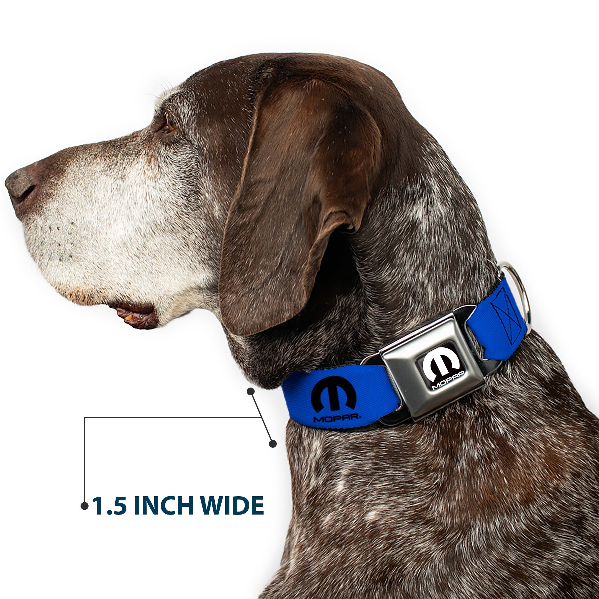 MOPAR Logo Full Color Black/White Seatbelt Buckle Collar - MOPAR Logo Repeat Blue/Black