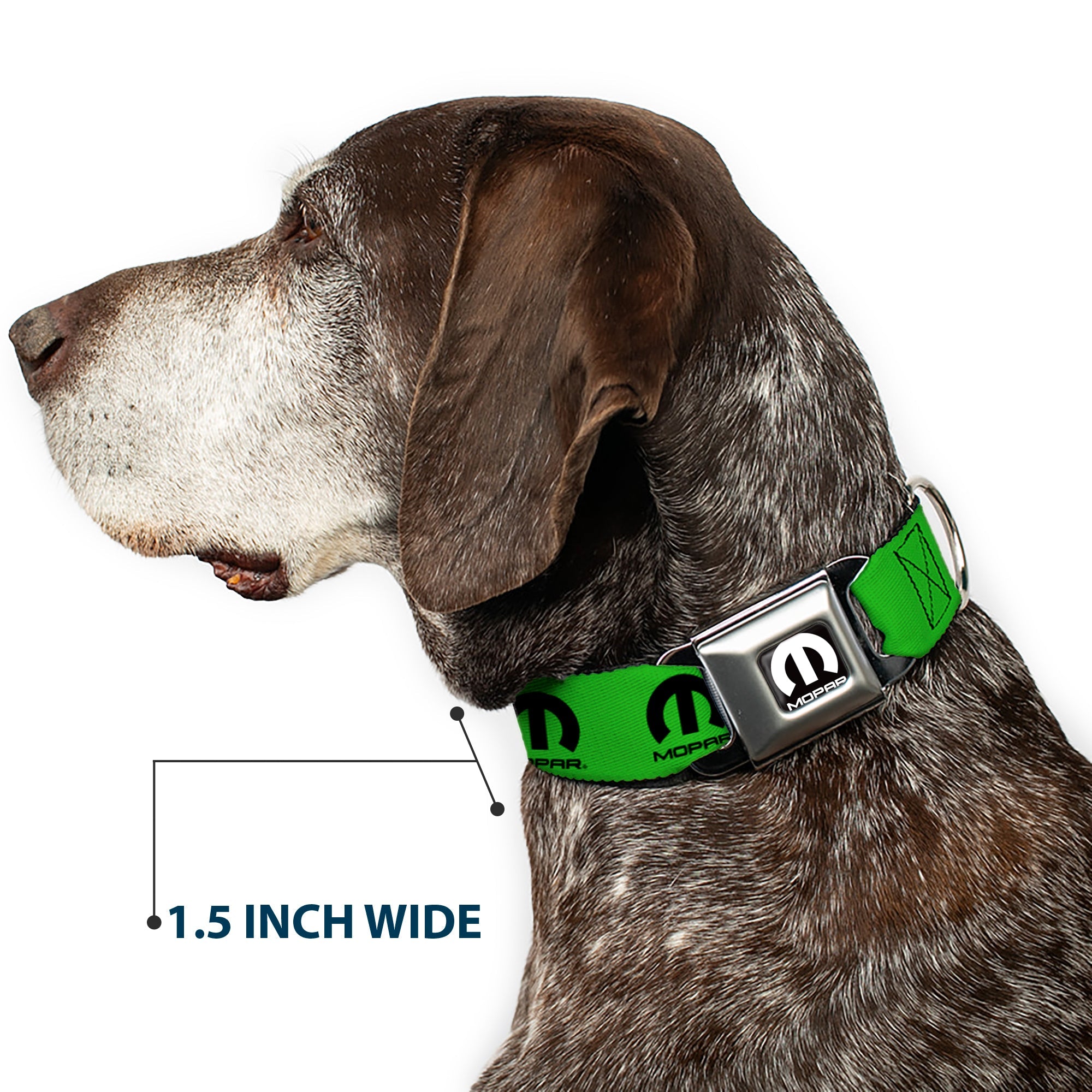 MOPAR Logo Full Color Black/White Seatbelt Buckle Collar - MOPAR Logo Repeat Green/Black