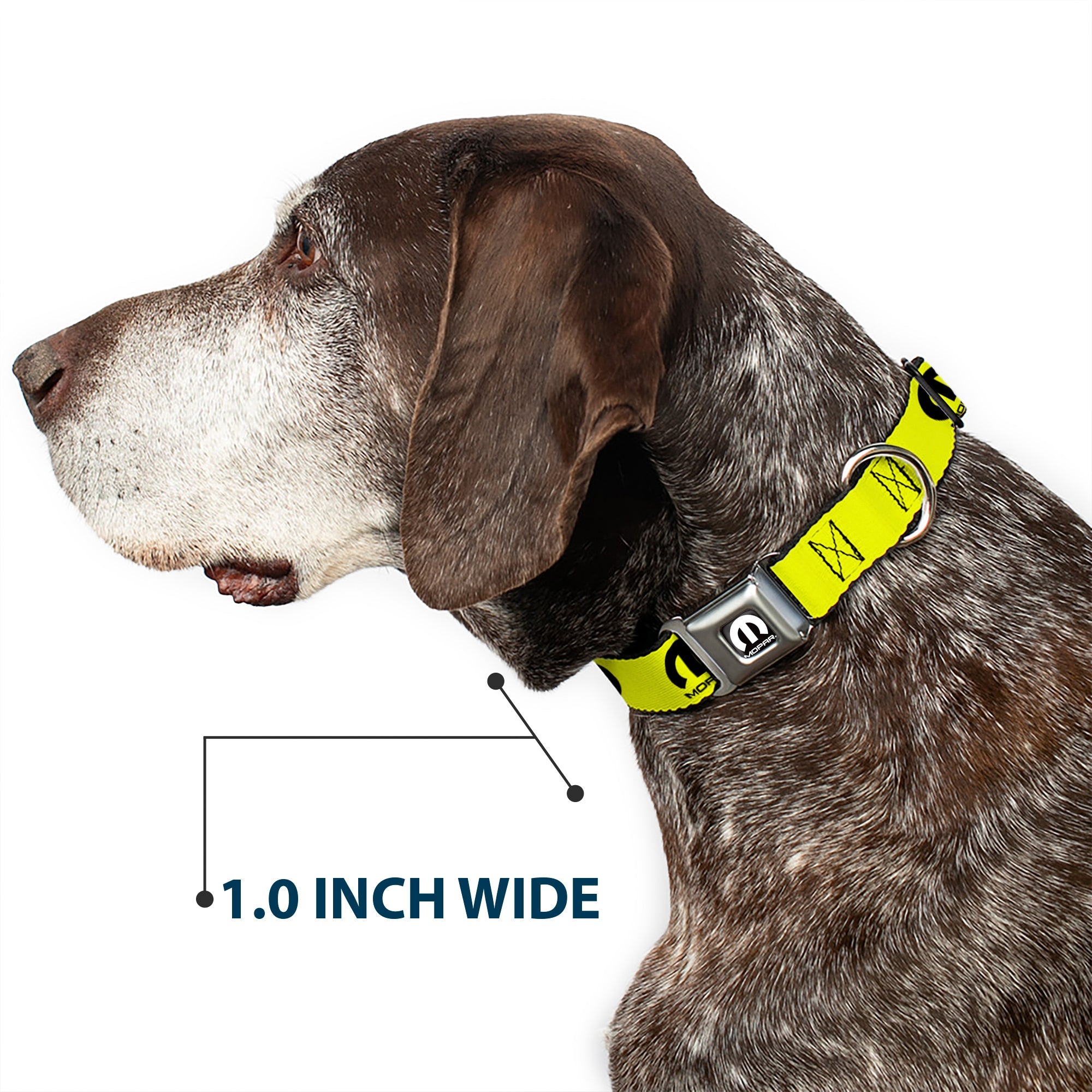 MOPAR Logo Full Color Black/White Seatbelt Buckle Collar - MOPAR Logo Repeat Yelow/Black