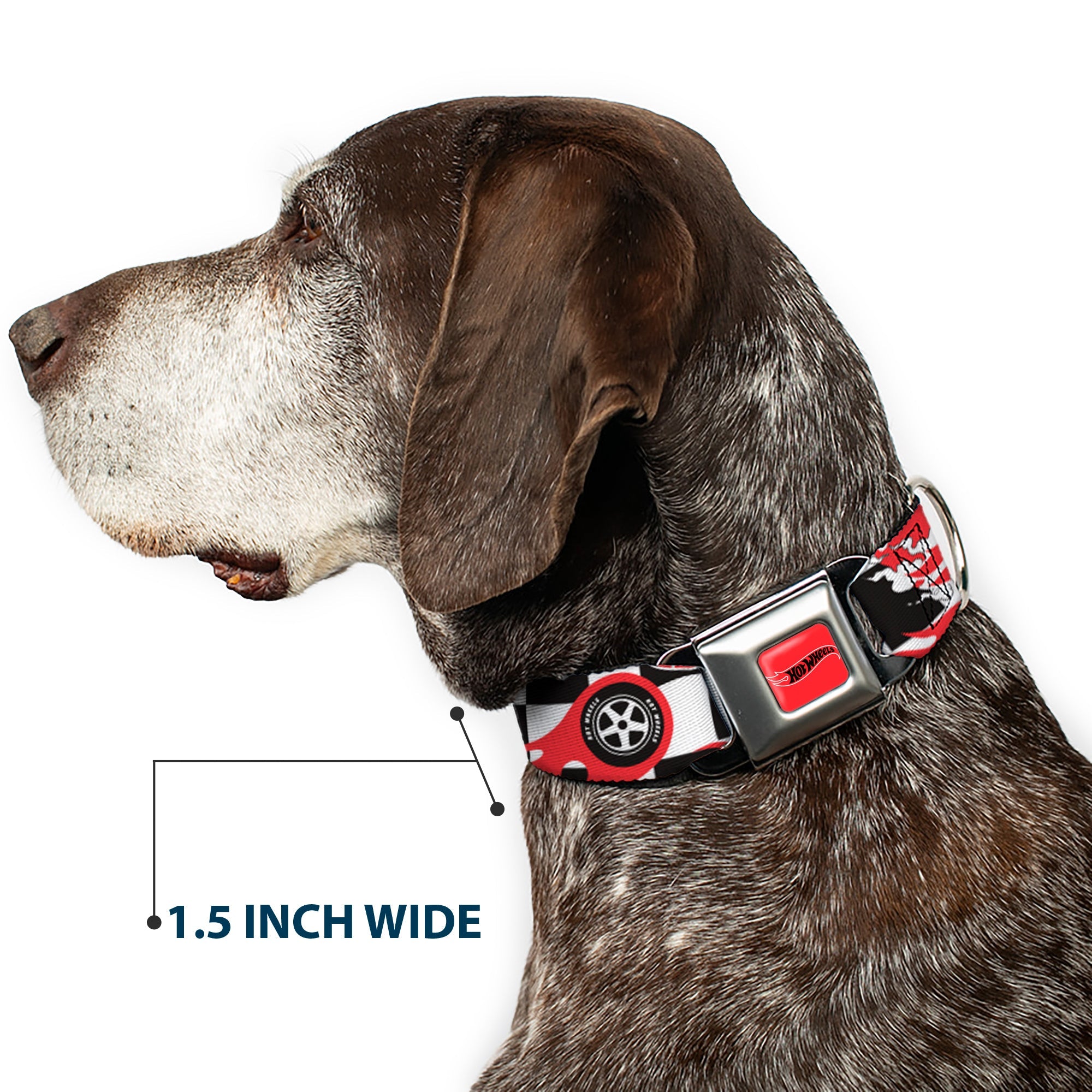 HOT WHEELS Classic Flame Logo Full Color Red/White/Black Seatbelt Buckle Collar - HOT WHEELS Logo and Tire Burn Out Checker Black/White