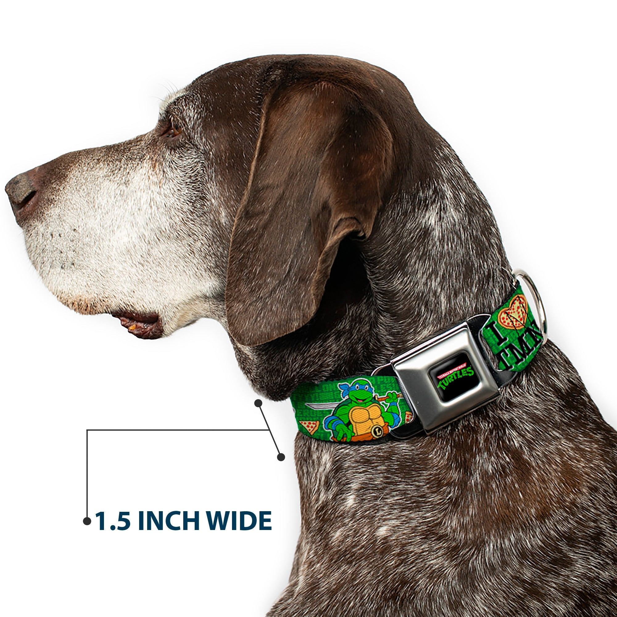 Classic TEENAGE MUTANT NINJA TURTLES Logo Seatbelt Buckle Collar - I "HEART" TMNT/Classic Turtles & Pizza Green