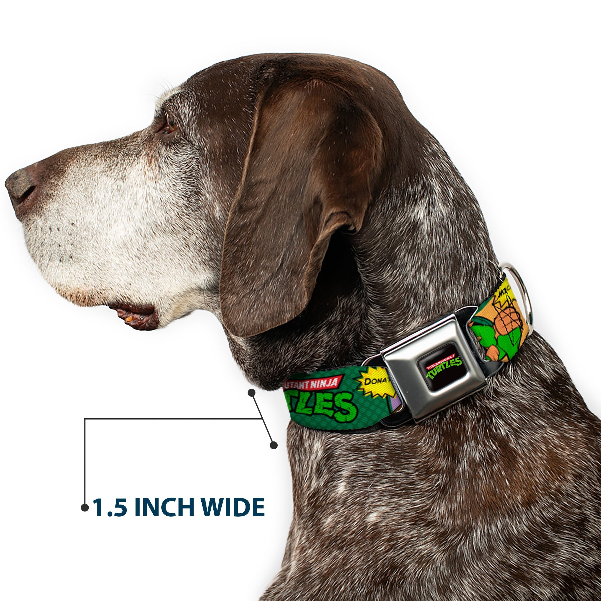 Classic TEENAGE MUTANT NINJA TURTLES Logo Seatbelt Buckle Collar - Classic TEENAGE MUTANT NINJA TURTLES Character Comic Scenes