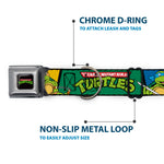 Classic TEENAGE MUTANT NINJA TURTLES Logo Seatbelt Buckle Collar - Classic TEENAGE MUTANT NINJA TURTLES Group Pose3/TMNT Logo Green/Multi Color