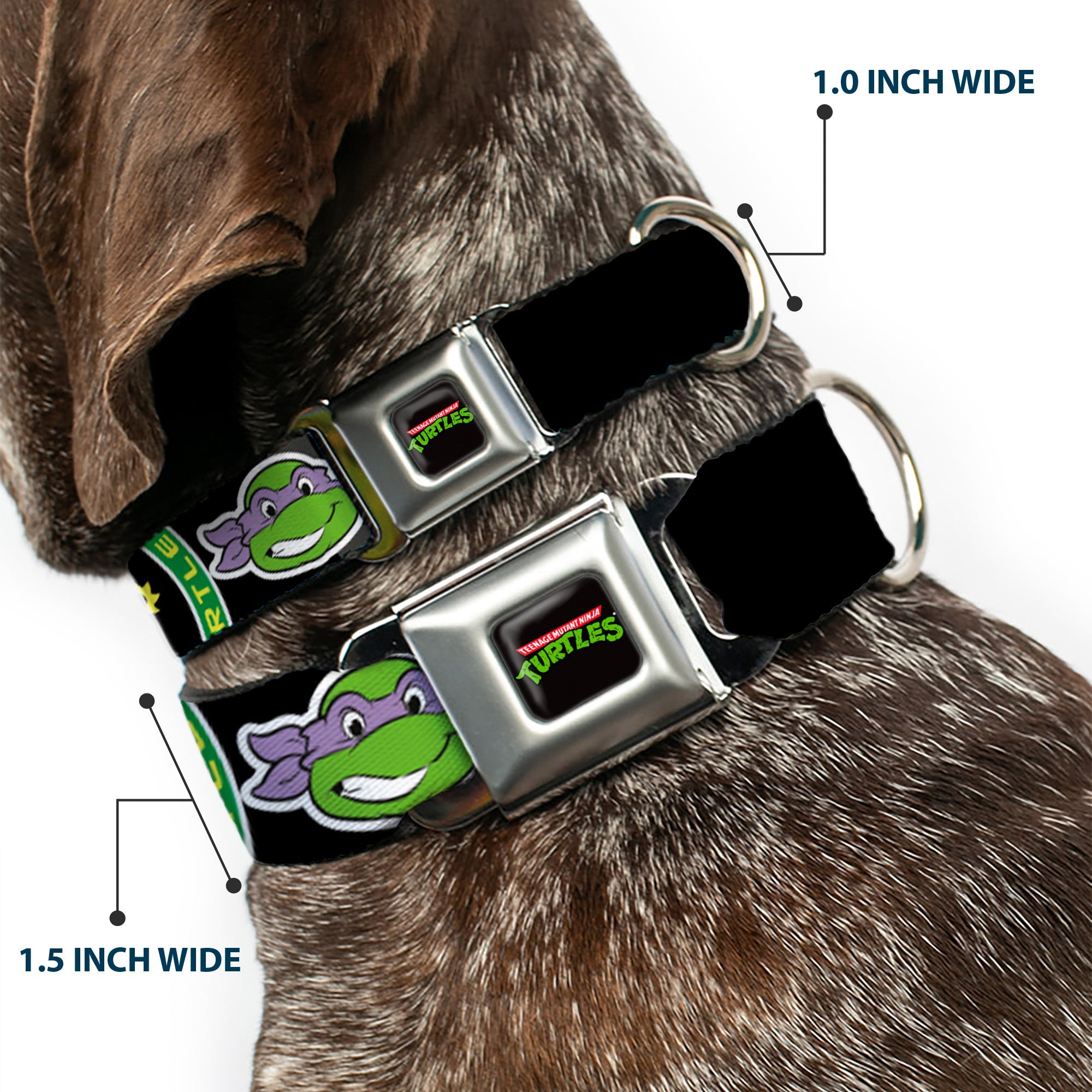 Classic TEENAGE MUTANT NINJA TURTLES Logo Seatbelt Buckle Collar - Classic Teenage Mutant Ninja Turtles Group Faces/TMNT/Ninja Star Black/Green