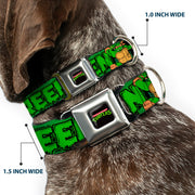 Classic TEENAGE MUTANT NINJA TURTLES Logo Seatbelt Buckle Collar - Classic TEENAGE MUTANT NINJA TURTLES Logo/Group Pose5/LEAN MEAN & GREEN