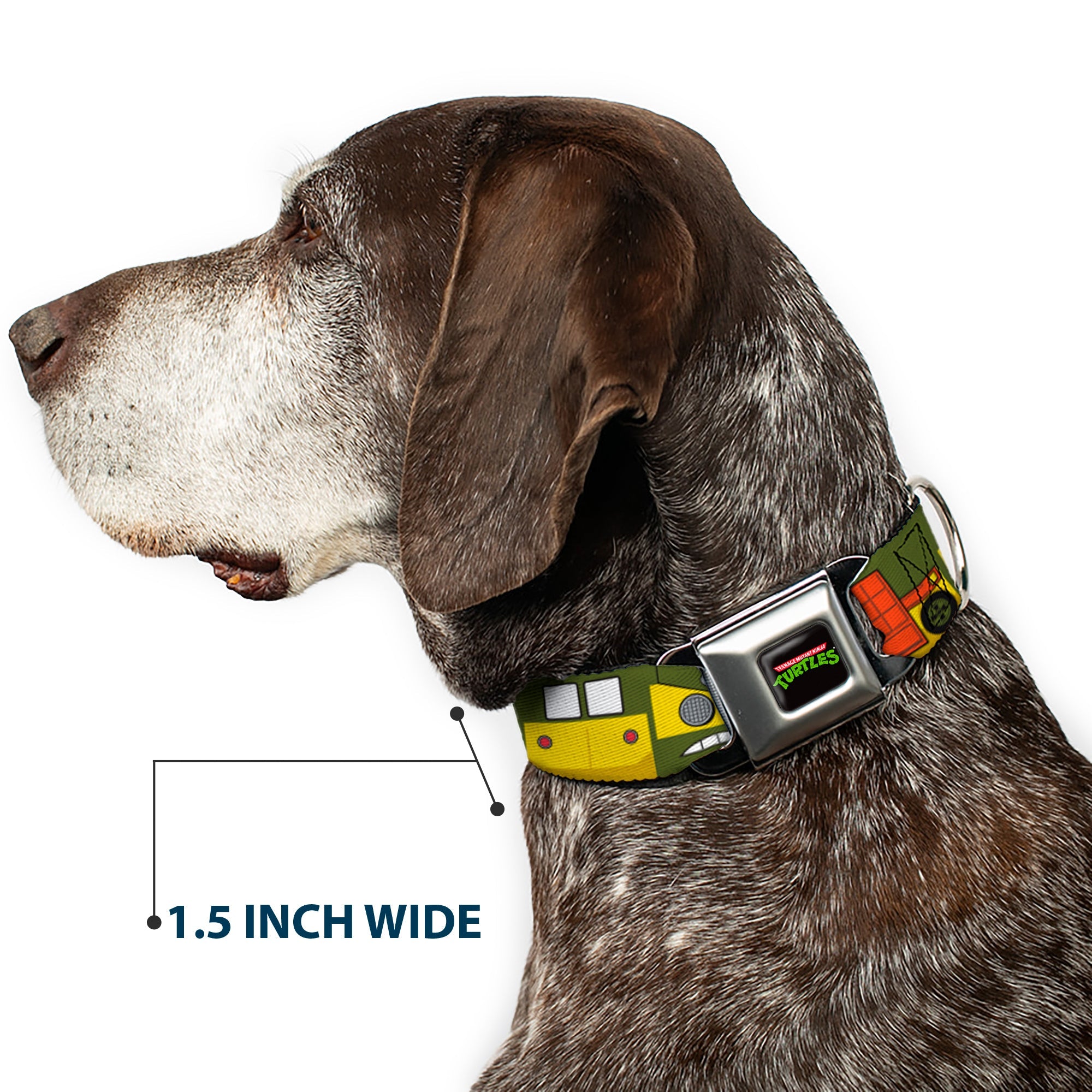 Classic TEENAGE MUTANT NINJA TURTLES Logo Full Color Seatbelt Buckle Collar - Classic TMNT Ninja Turtles Party Van All Sides Green/Yellow/Orange