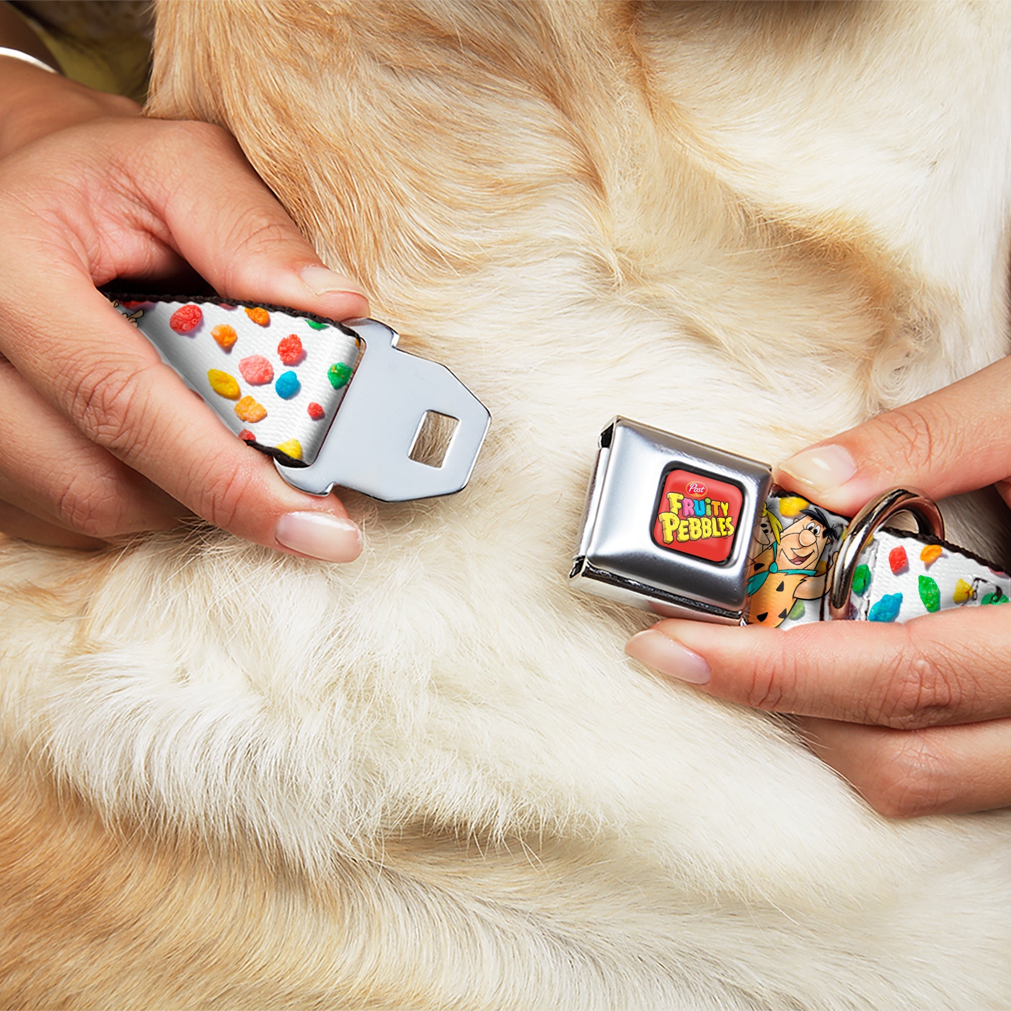 POST FRUITY PEBBLES Logo Full Color Red/Multi Color Seatbelt Buckle Collar - Fruity Pebbles Fred Flintstone and Barney Rubble Hugging Pose and Cereal Pebbles Scattered White/Multi Color