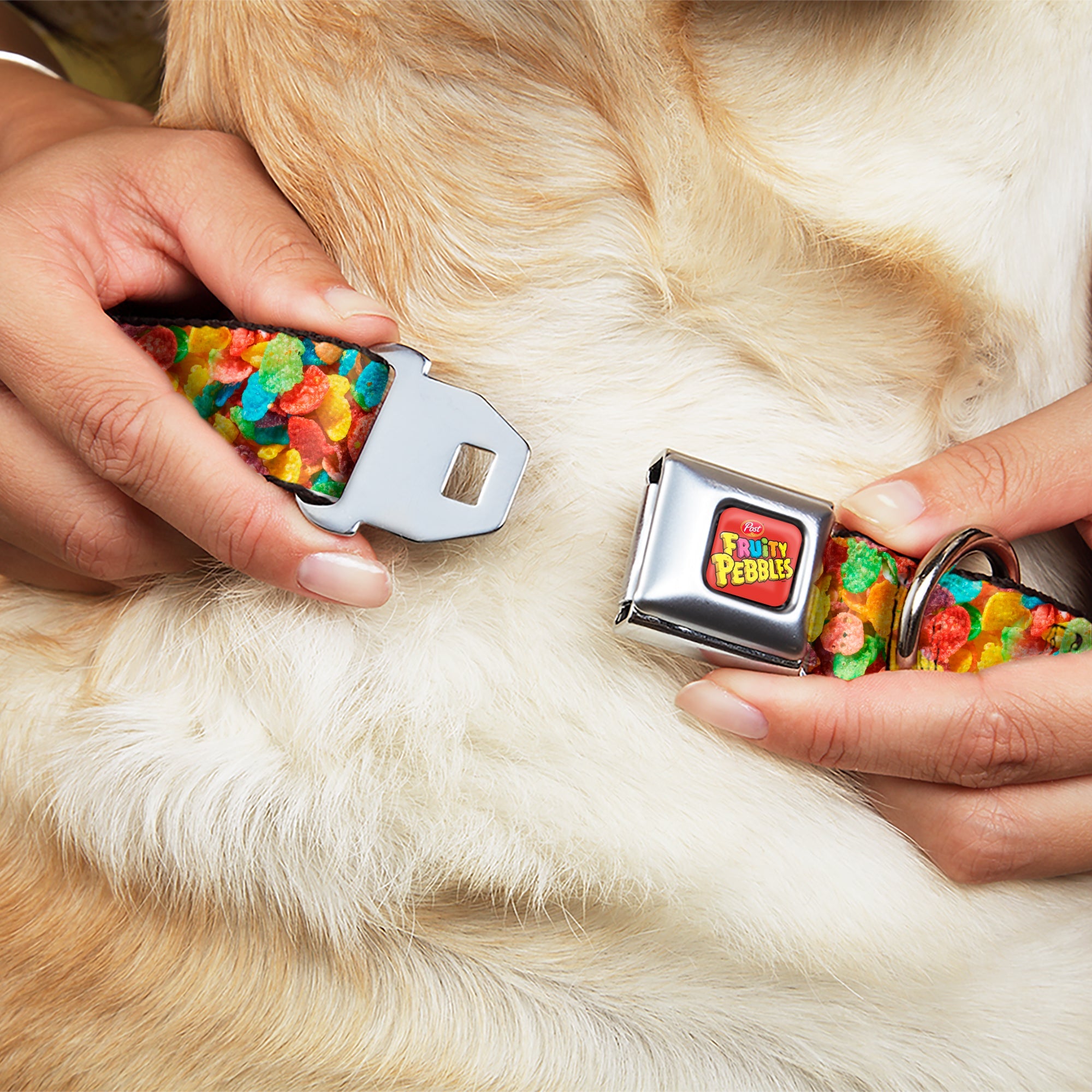 POST FRUITY PEBBLES Logo Full Color Red/Multi Color Seatbelt Buckle Collar - Fruity Pebbles Vivid Cereal CLOSE-UP Multi Color