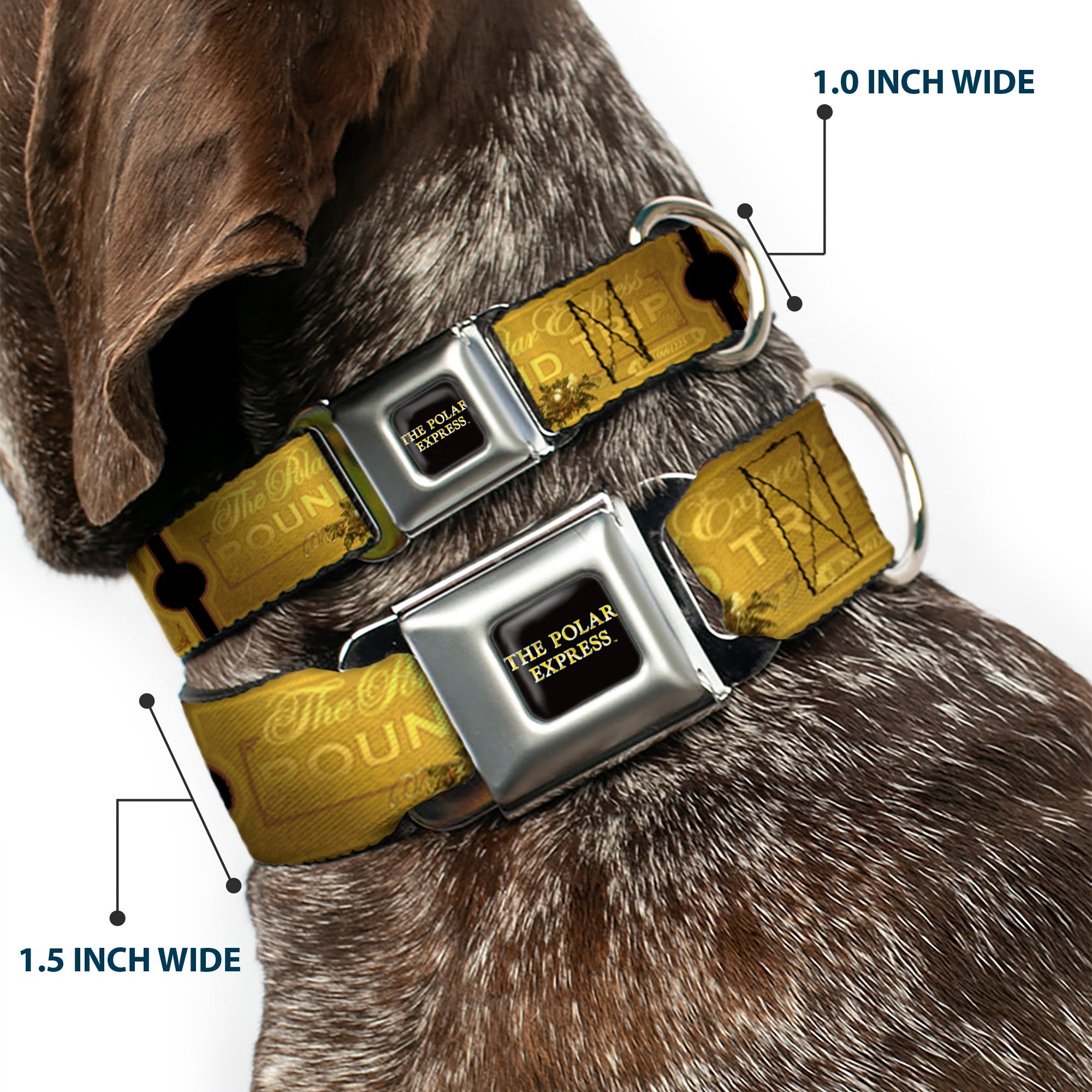THE POLAR EXPRESS Text Logo Full Color Black/Golds Seatbelt Buckle Collar - THE POLAR EXPRESS ROUND TRIP Ticket Black/Golds