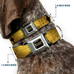 THE POLAR EXPRESS Text Logo Full Color Black/Golds Seatbelt Buckle Collar - THE POLAR EXPRESS ROUND TRIP Ticket Black/Golds