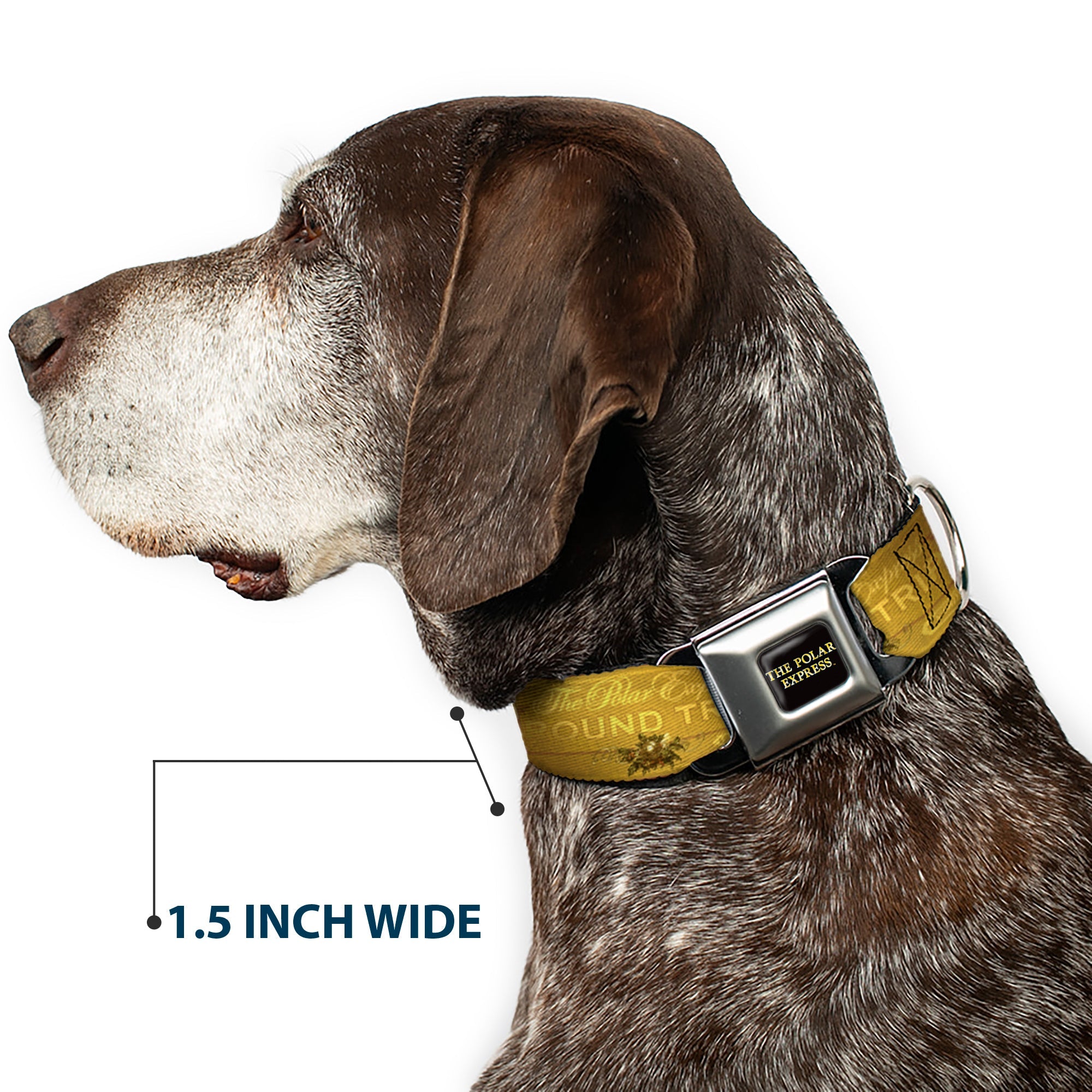 THE POLAR EXPRESS Text Logo Full Color Black/Golds Seatbelt Buckle Collar - THE POLAR EXPRESS ROUND TRIP Ticket Black/Golds