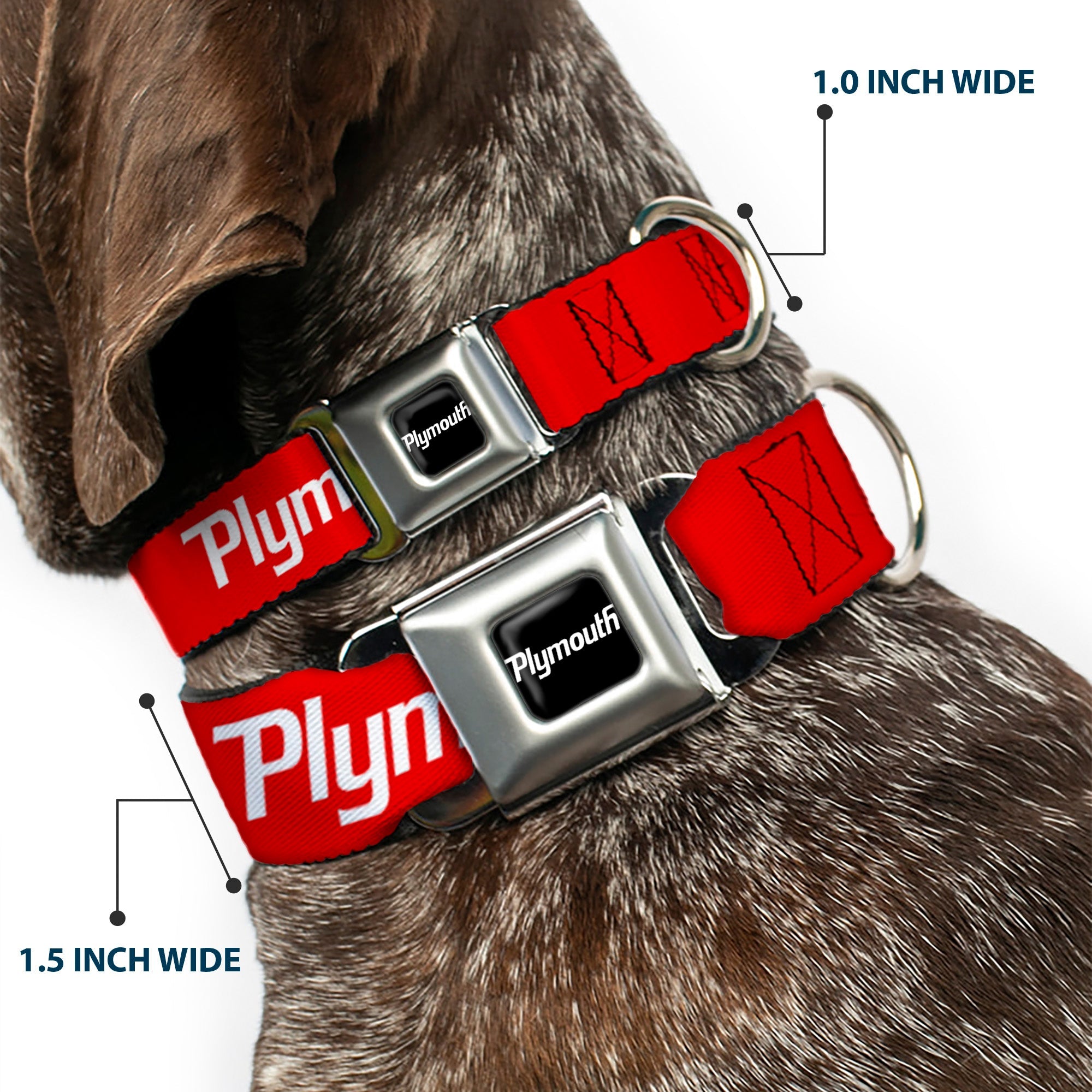 PLYMOUTH Text Logo Full Color Black/White Seatbelt Buckle Collar - PLYMOUTH Text Logo Red/White