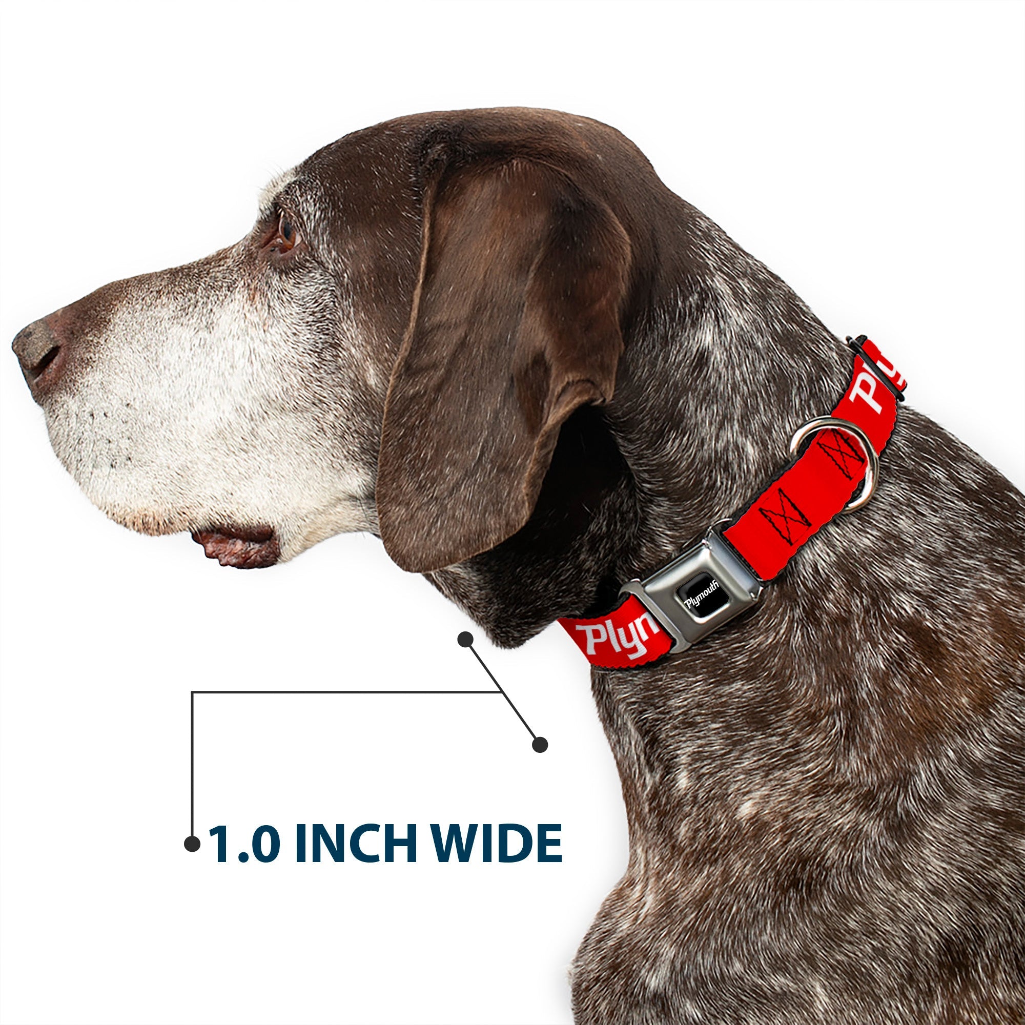 PLYMOUTH Text Logo Full Color Black/White Seatbelt Buckle Collar - PLYMOUTH Text Logo Red/White