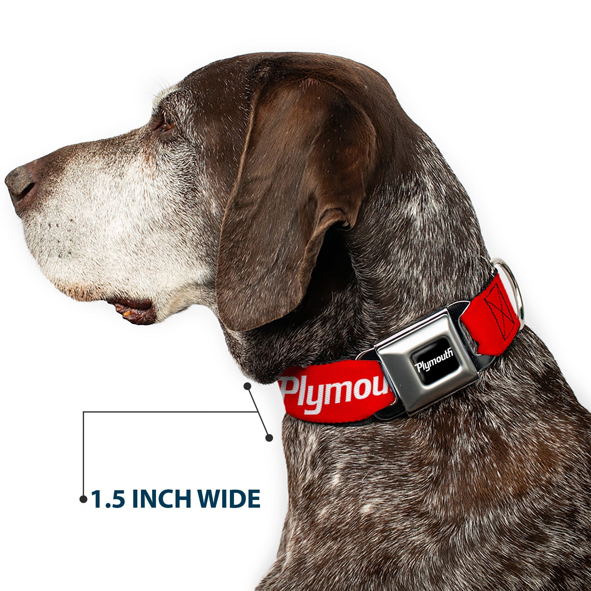 PLYMOUTH Text Logo Full Color Black/White Seatbelt Buckle Collar - PLYMOUTH Text Logo Red/White