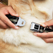 BARRACUDA Script Logo Full Color Black/White Seatbelt Buckle Collar - BARRACUDA Script Stripe/Monogram Black/Gray/Olive/Silver