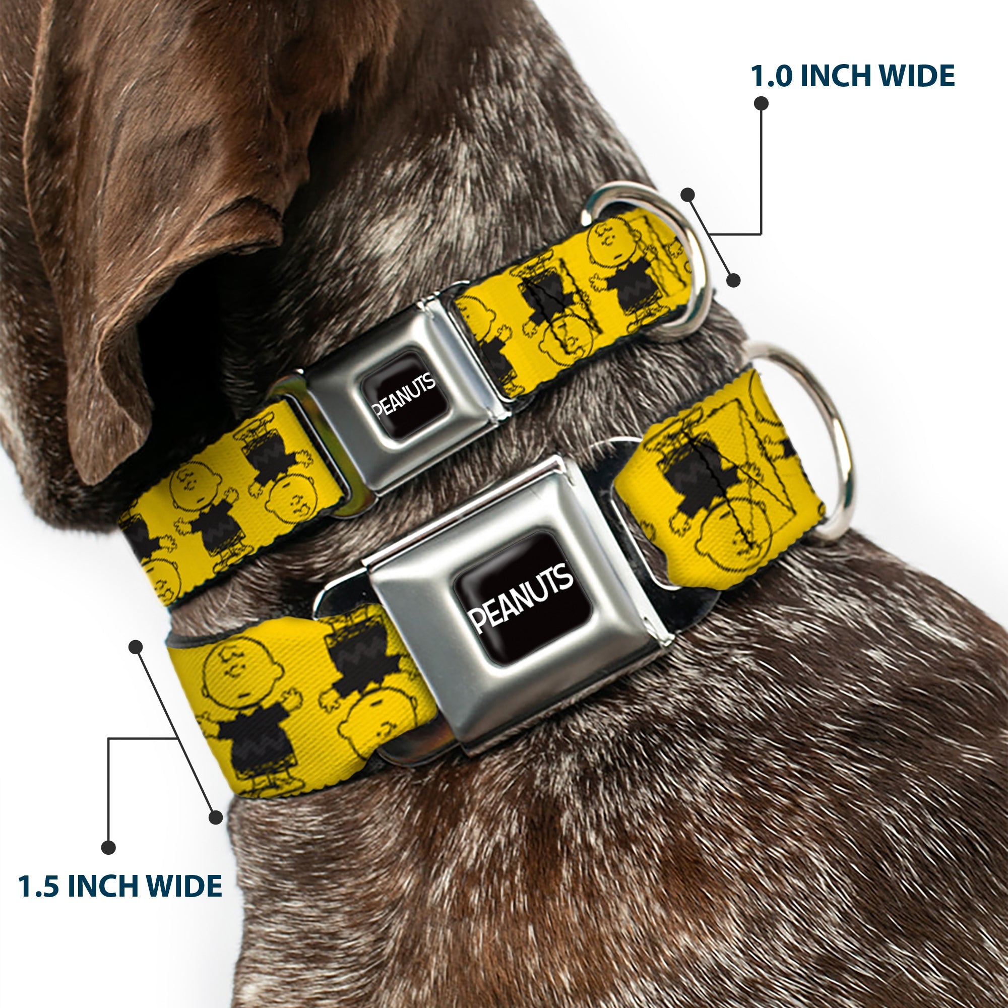 PEANUTS Title Logo Full Color Black/White Seatbelt Buckle Collar - Peanuts Charlie Brown Pose Flip Yellow/Black