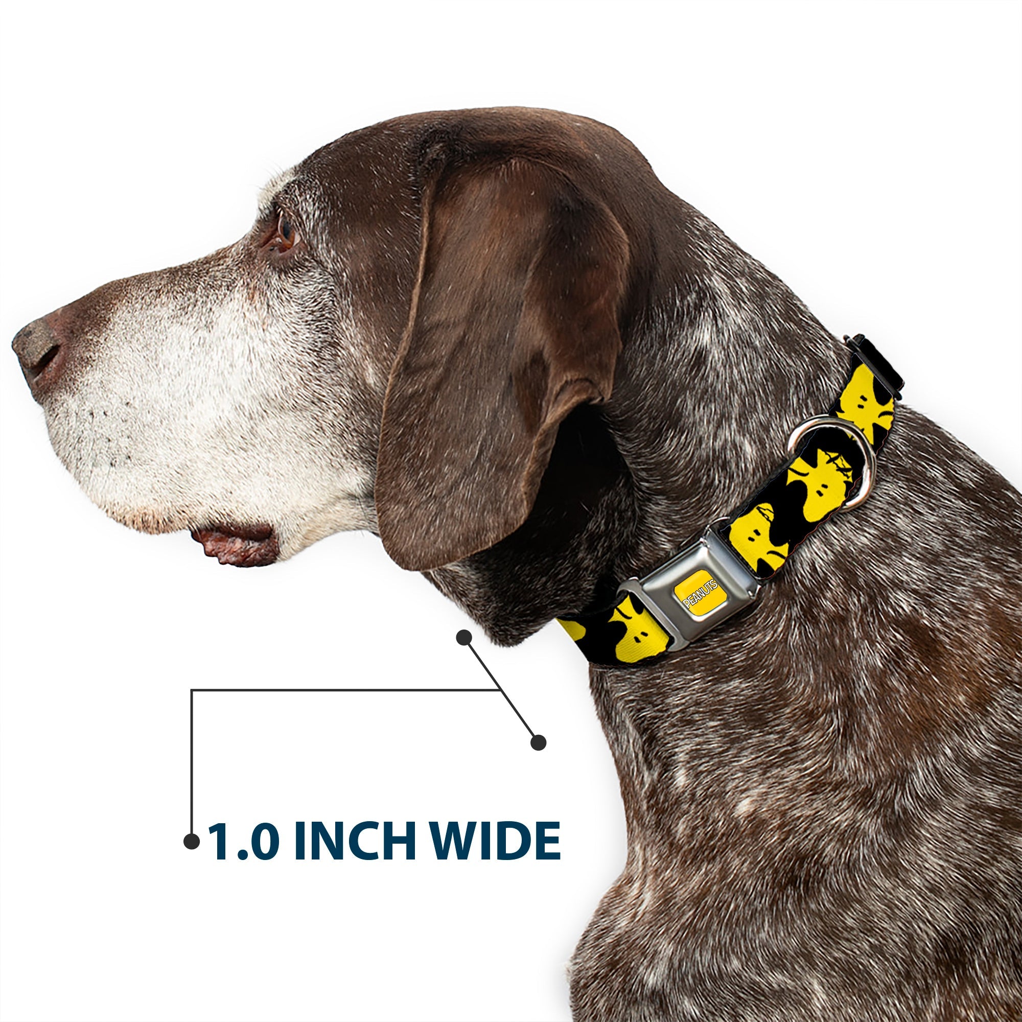 PEANUTS Title Logo Full Color Yellow/White Seatbelt Buckle Collar - Peanuts Woodstock Face Flip Black/Yellow