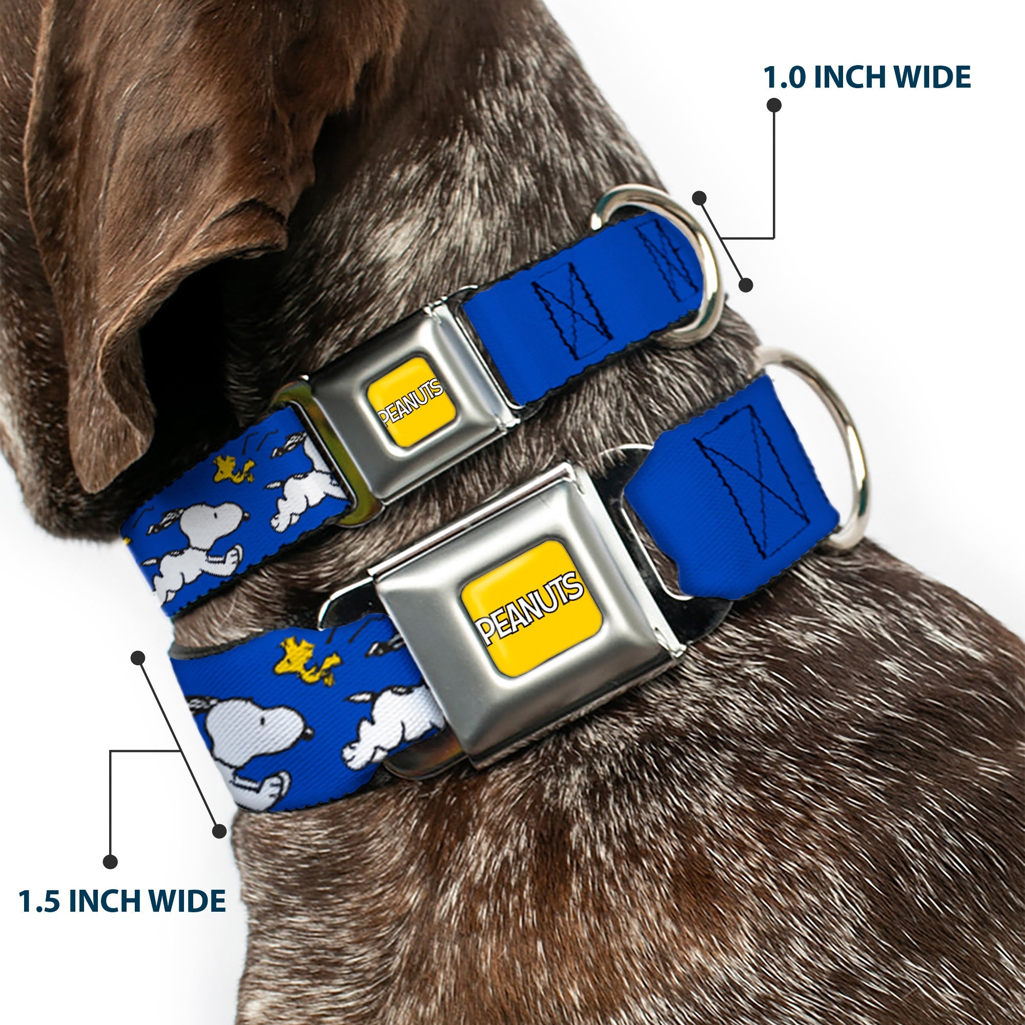 PEANUTS Title Logo Full Color Yellow/White Seatbelt Buckle Collar - Peanuts Snoopy Running and Woodstock Pose Blue