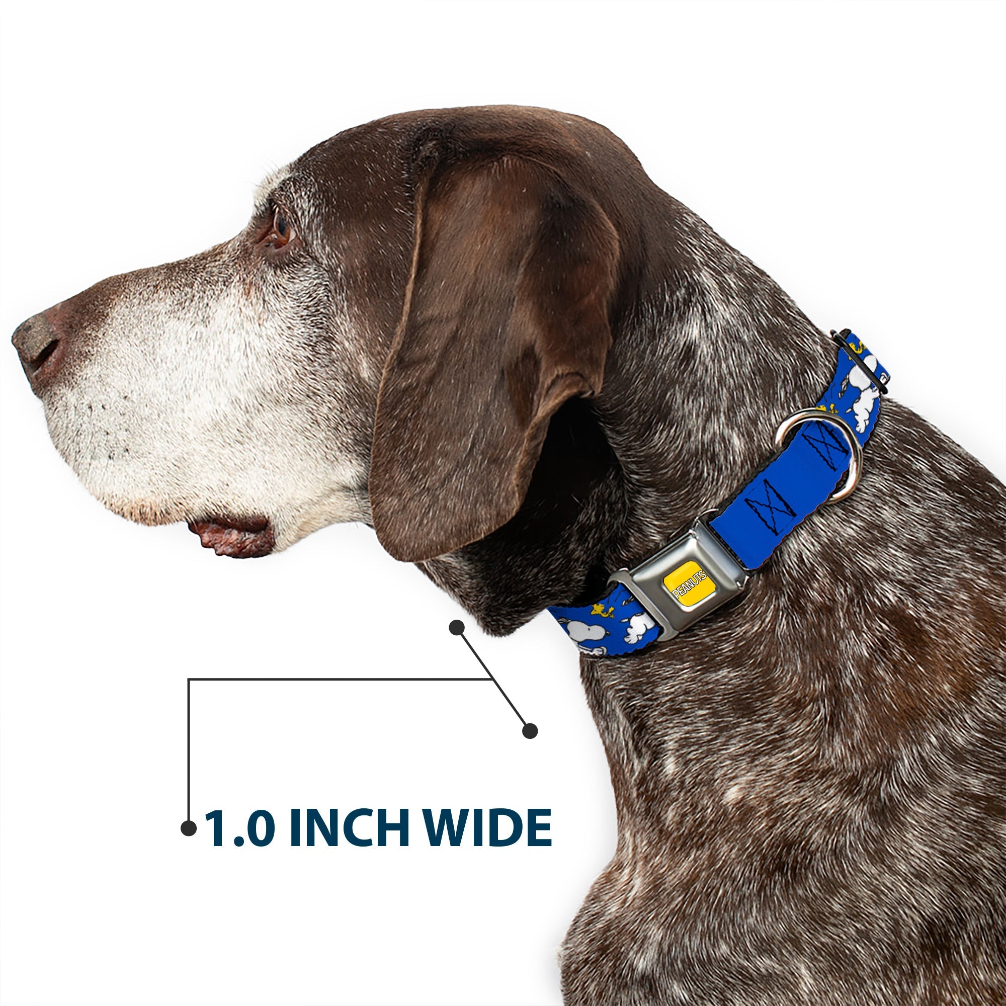 PEANUTS Title Logo Full Color Yellow/White Seatbelt Buckle Collar - Peanuts Snoopy Running and Woodstock Pose Blue
