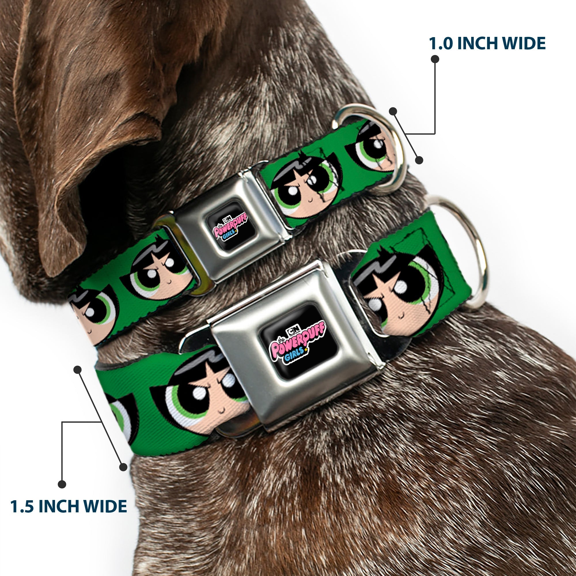 THE POWERPUFF GIRLS Animated Series Title Logo Full Color Black Seatbelt Buckle Collar - The Powerpuff Girls Buttercup Face Close-Up Green