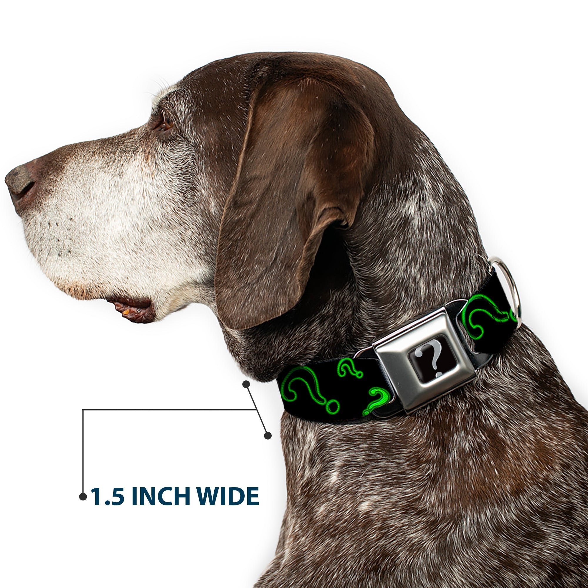 Riddler "?" Black/Silver Seatbelt Buckle Collar - Question Mark Scattere2 Black/Neon Green