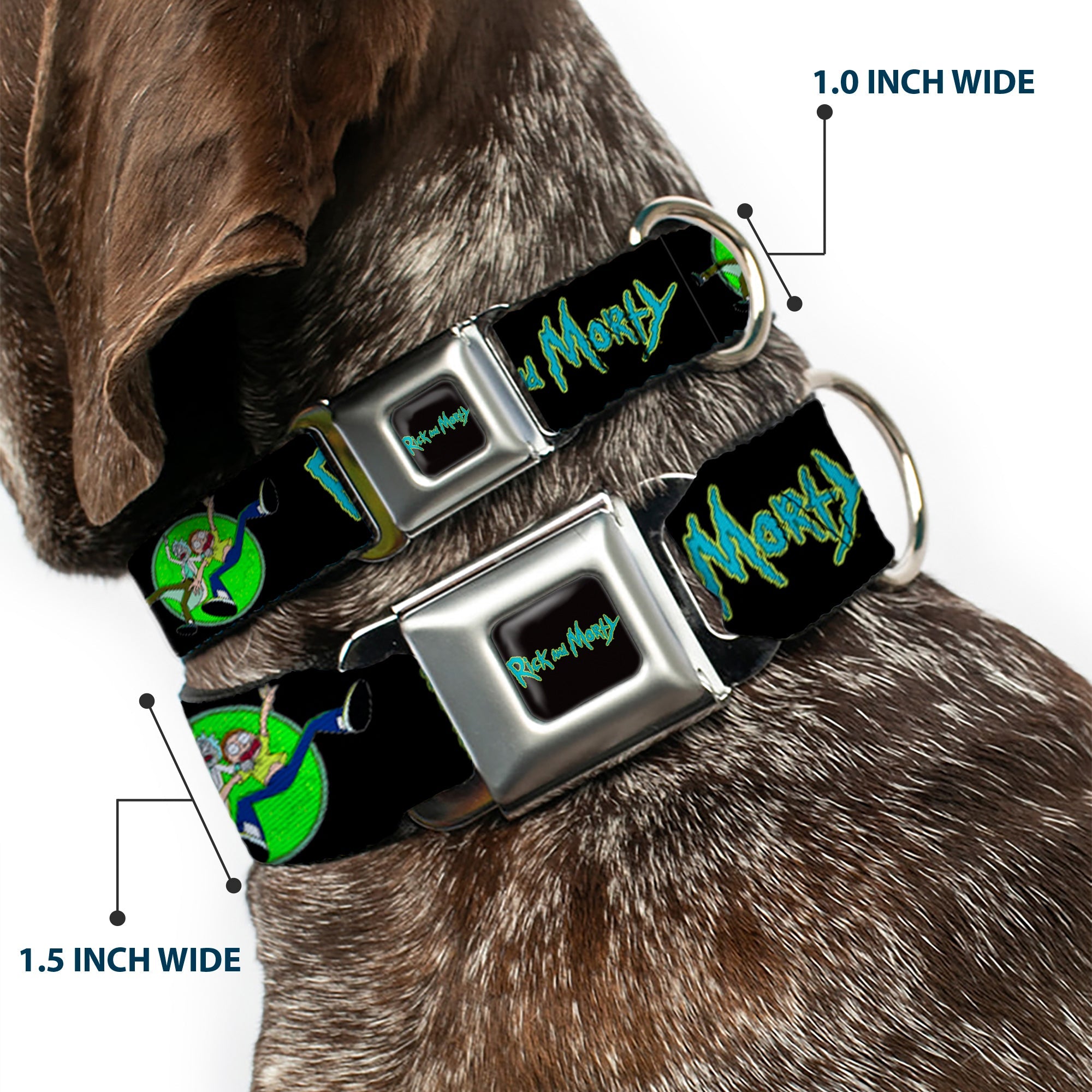 RICK AND MORTY Text Logo Full Color Black/Blue Seatbelt Buckle Collar - RICK AND MORTY Title Logo and Portal Pose Black