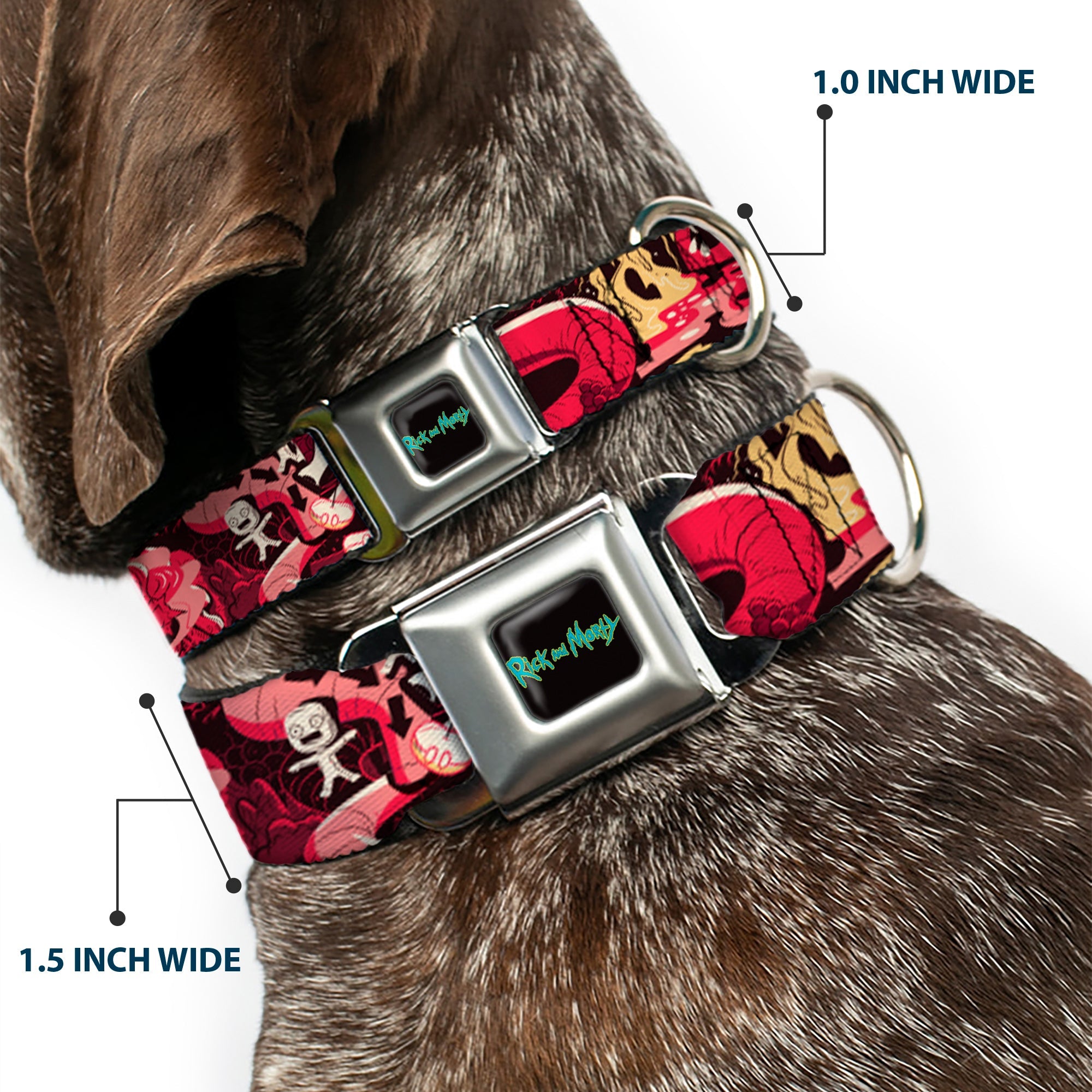 RICK AND MORTY Text Logo Full Color Black/Blue Seatbelt Buckle Collar - Rick and Morty Anatomy Park Collage Reds/Black