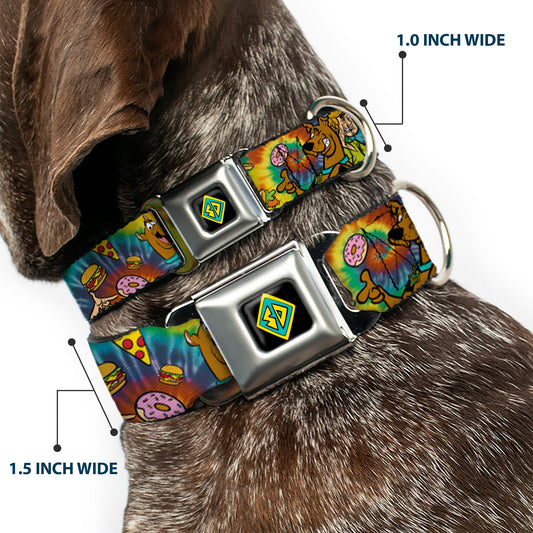 Scooby Doo Dog Tag Full Color Seatbelt Buckle Collar - Scooby Doo and Shaggy Poses/Munchies Tie Dye Multi Color