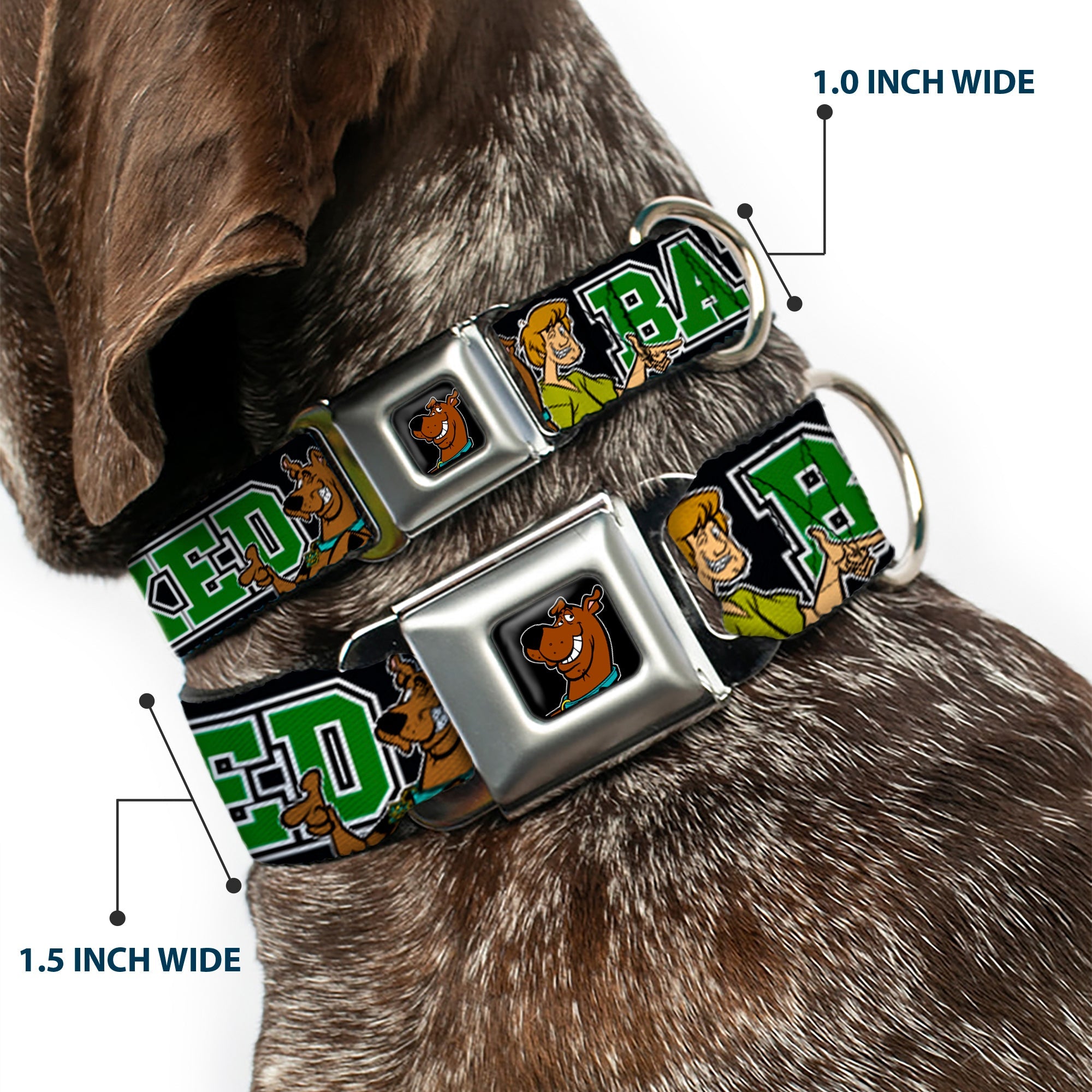 Scooby Doo Face Full Color Black Seatbelt Buckle Collar - Scooby Doo & Shaggy Pose/BAKED Black/Green