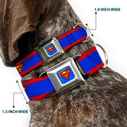 Superman Full Color Blue Seatbelt Buckle Collar - Superman Shield/Stripe Red/Blue