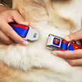 Load image into Gallery viewer, Superman Full Color Blue Seatbelt Buckle Collar - Superman Shield/Stripe Red/Blue
